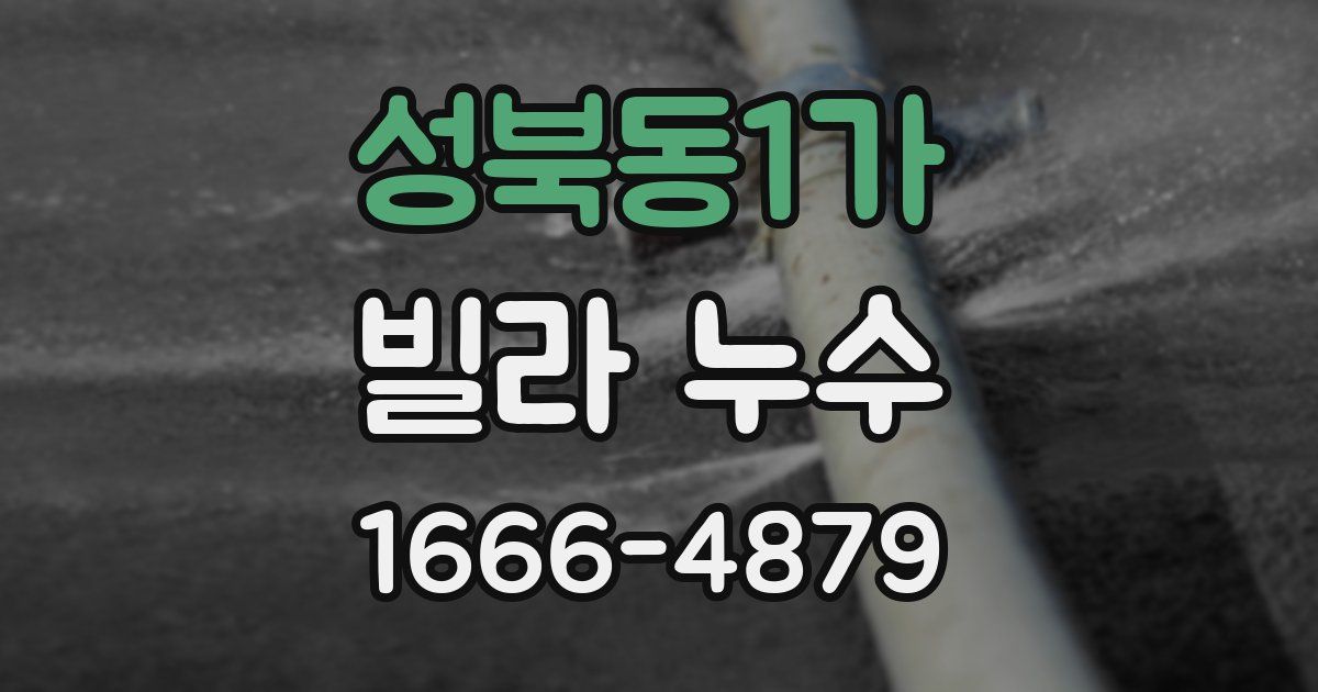 성북동1가 빌라 누수