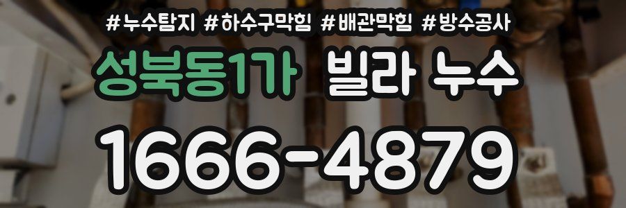 성북동1가 빌라 누수