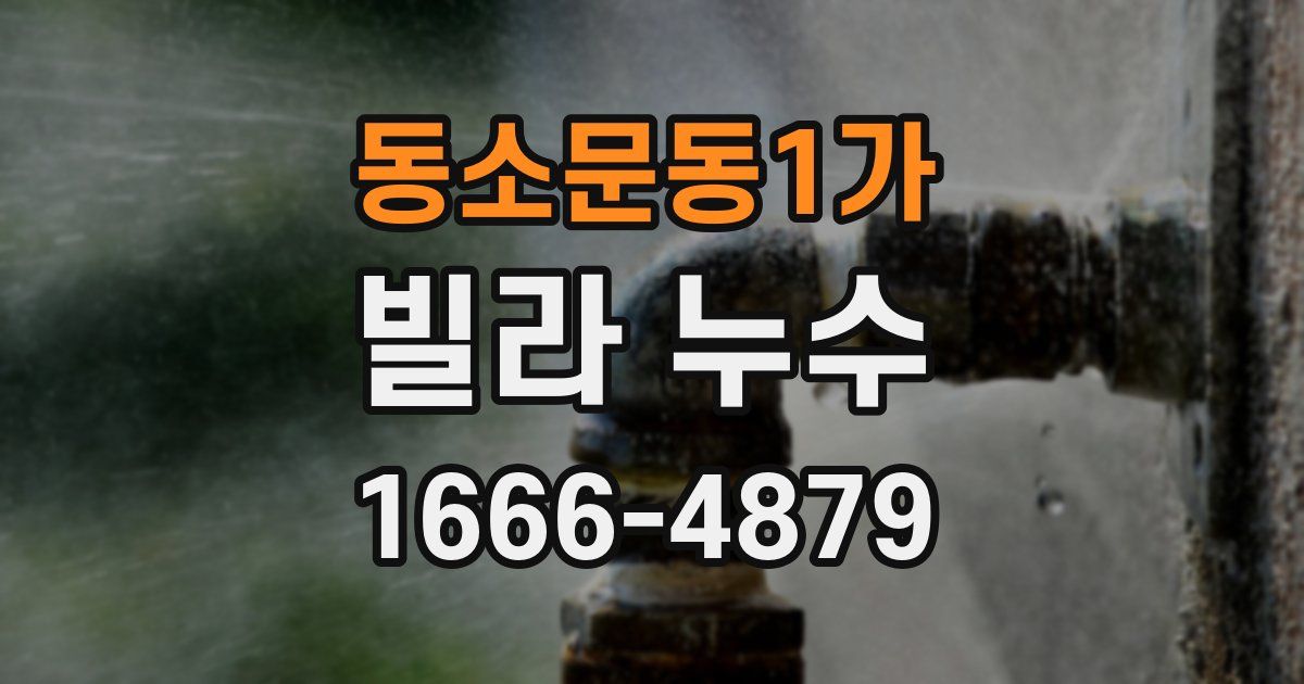 동소문동1가 빌라 누수
