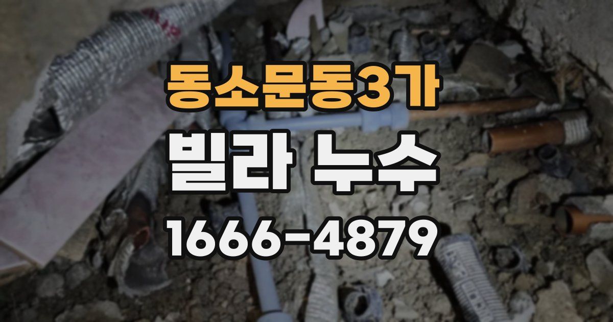 동소문동3가 빌라 누수