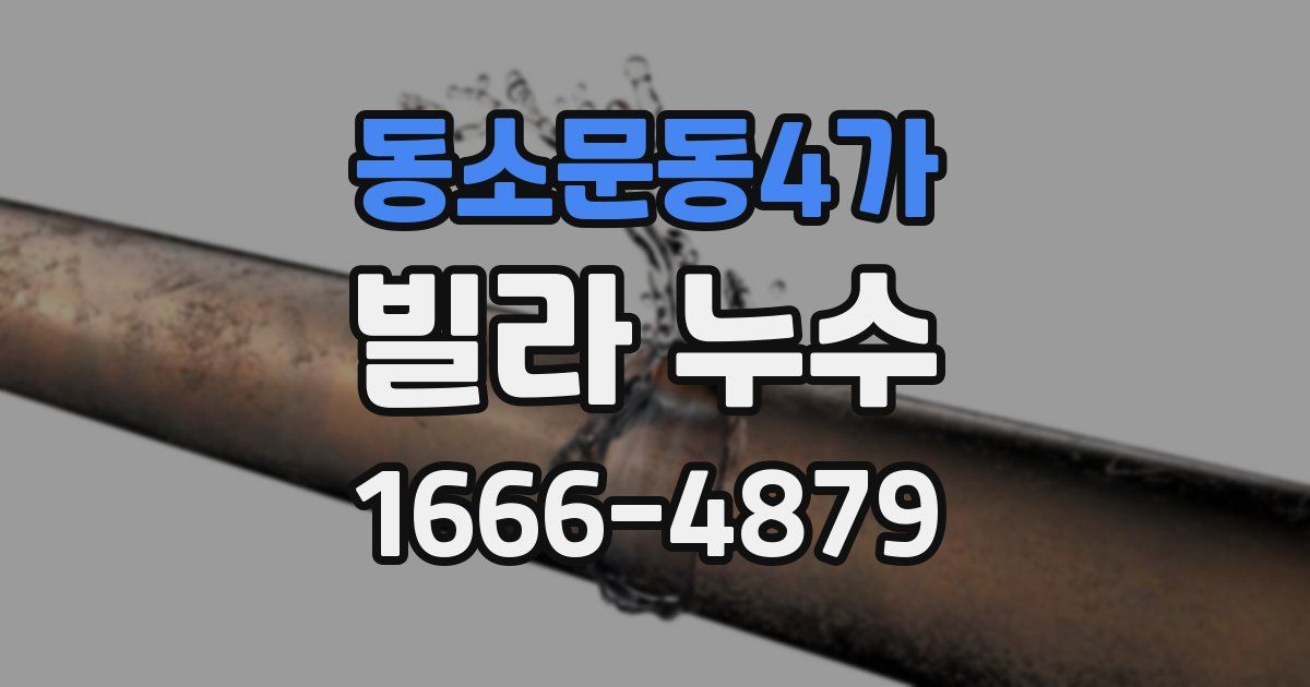 동소문동4가 빌라 누수