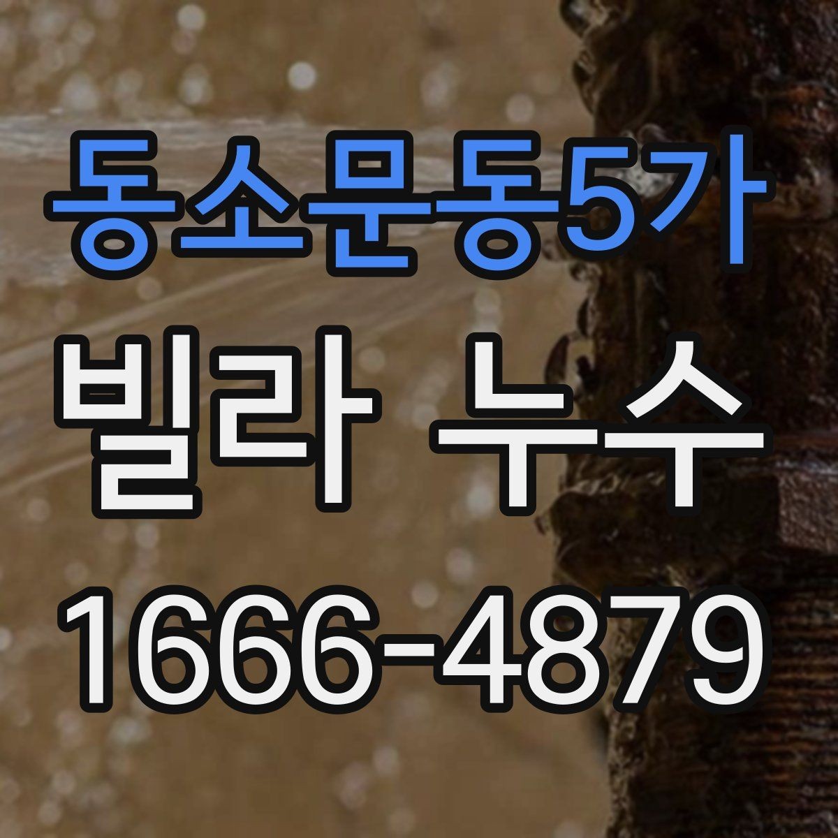 동소문동5가 빌라 누수 옥상 방수 상태 점검하기
