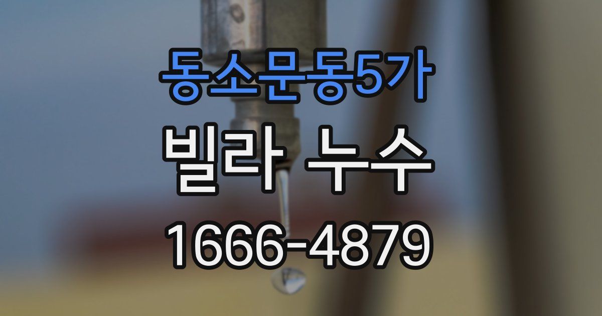 동소문동5가 빌라 누수