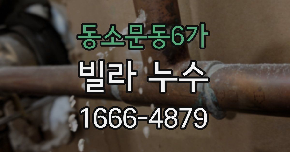동소문동6가 빌라 누수