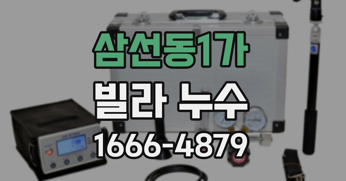삼선동1가 빌라 누수