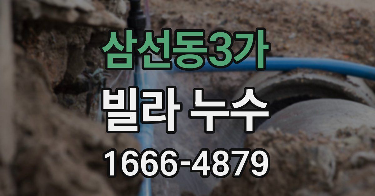 삼선동3가 빌라 누수