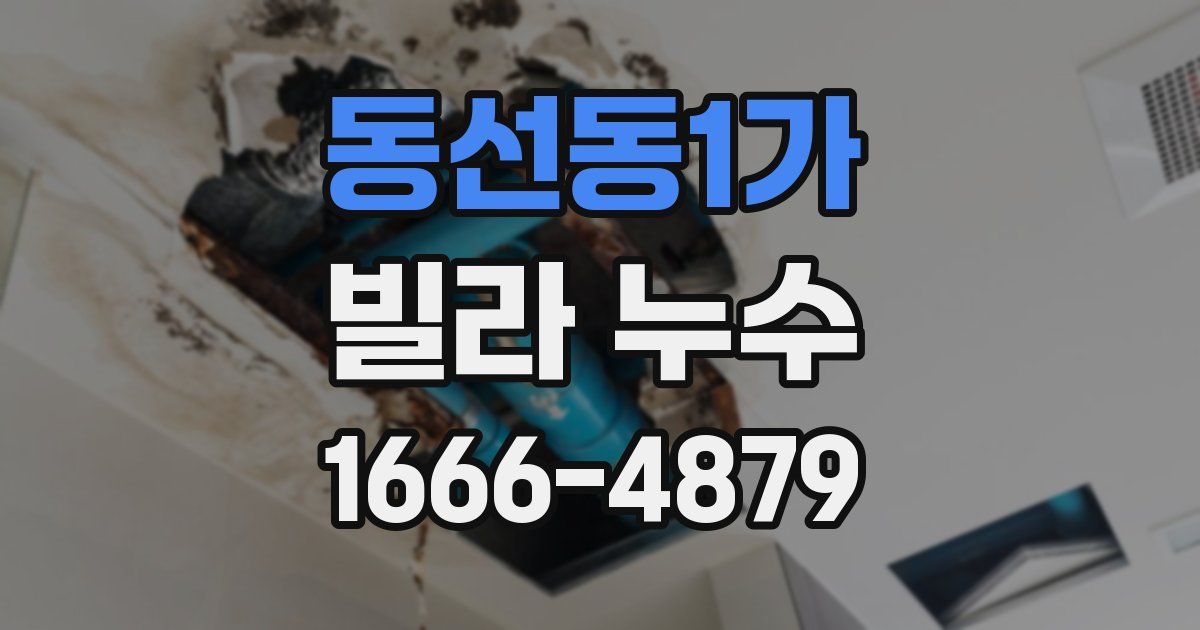 동선동1가 빌라 누수