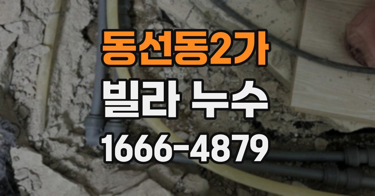 동선동2가 빌라 누수
