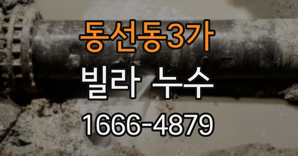 동선동3가 빌라 누수