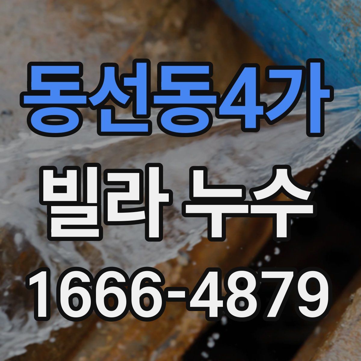 동선동4가 빌라 누수 원인부터 점검하는 방법