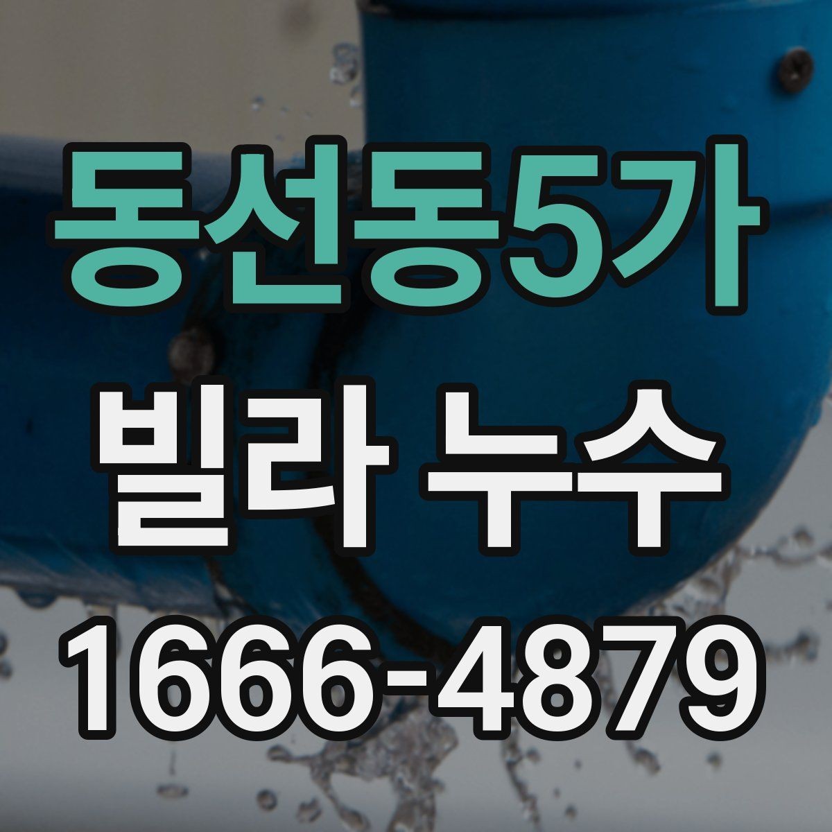 동선동5가 빌라 누수 재발을 막는 관리 습관