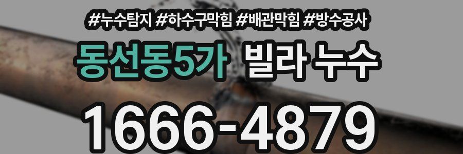동선동5가 빌라 누수
