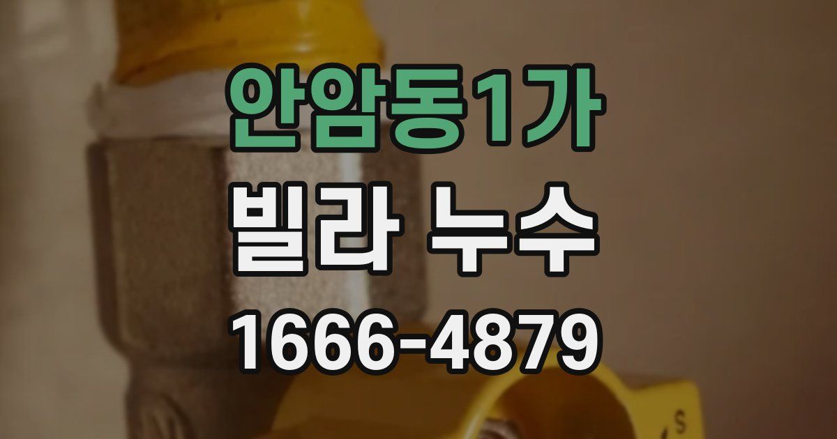 안암동1가 빌라 누수