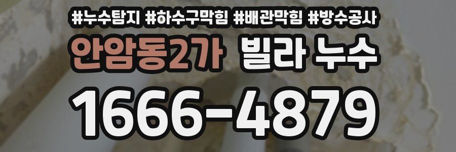 안암동2가 빌라 누수