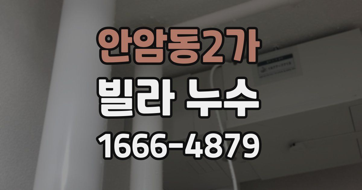 안암동2가 빌라 누수