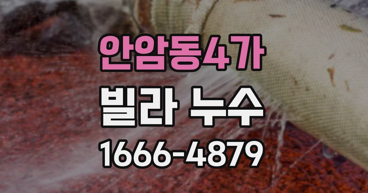 안암동4가 빌라 누수
