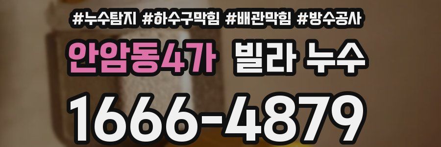 안암동4가 빌라 누수