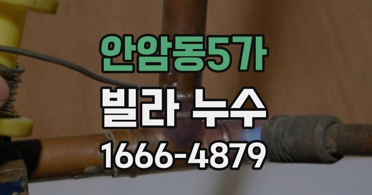안암동5가 빌라 누수