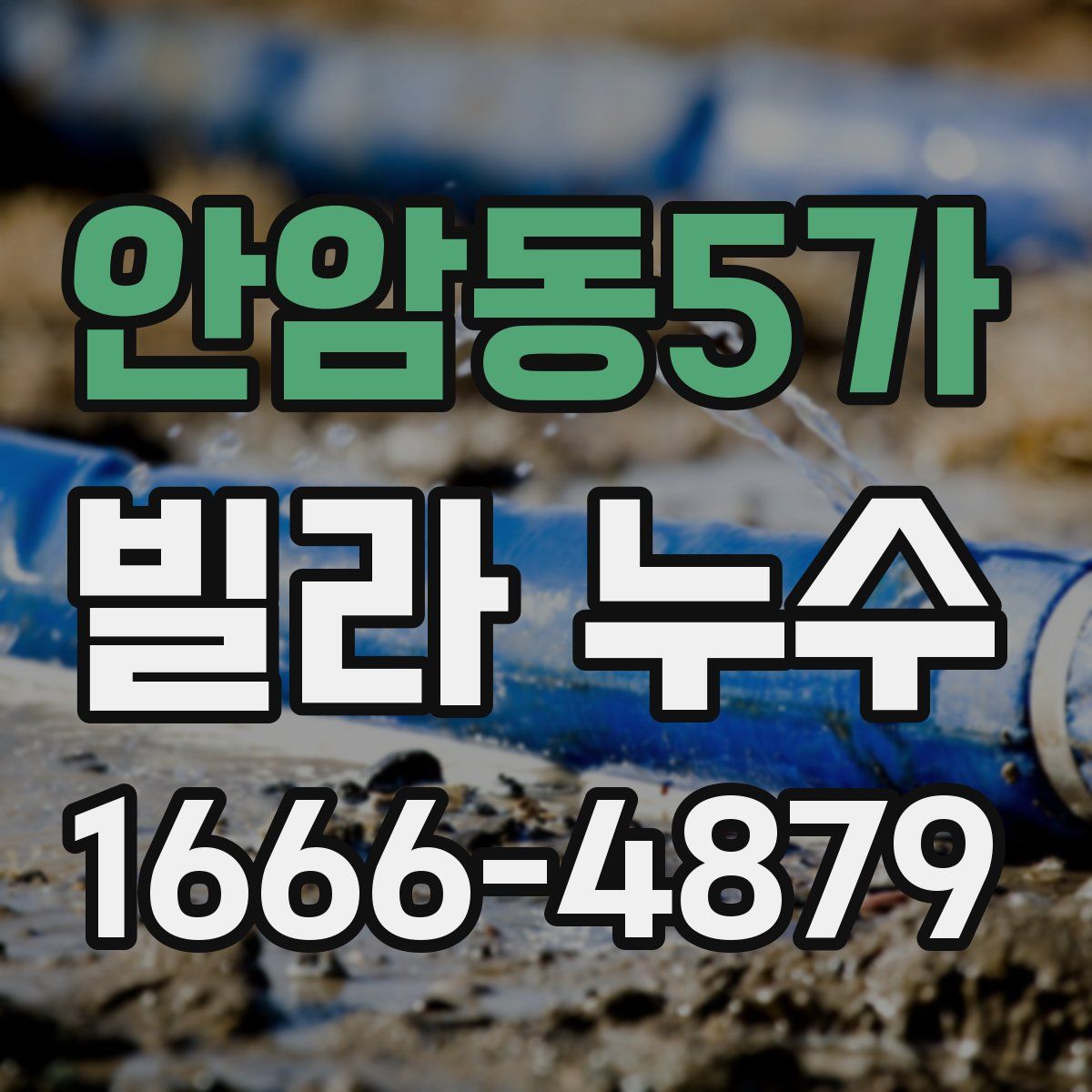 안암동5가 빌라 누수