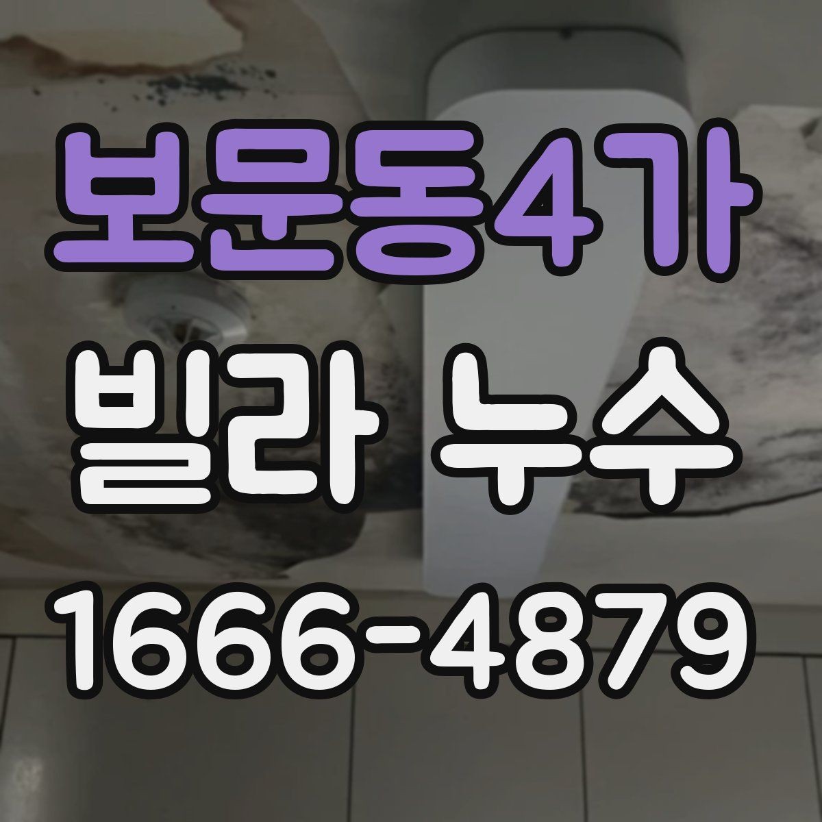 보문동4가 빌라 누수 피해가 커지기 전 확인할 부분