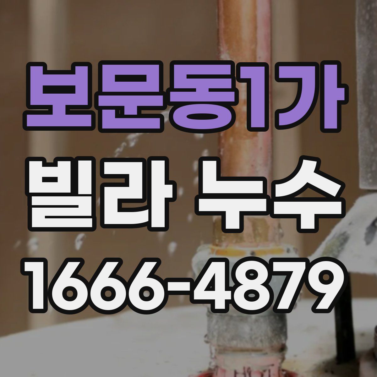 보문동1가 빌라 누수