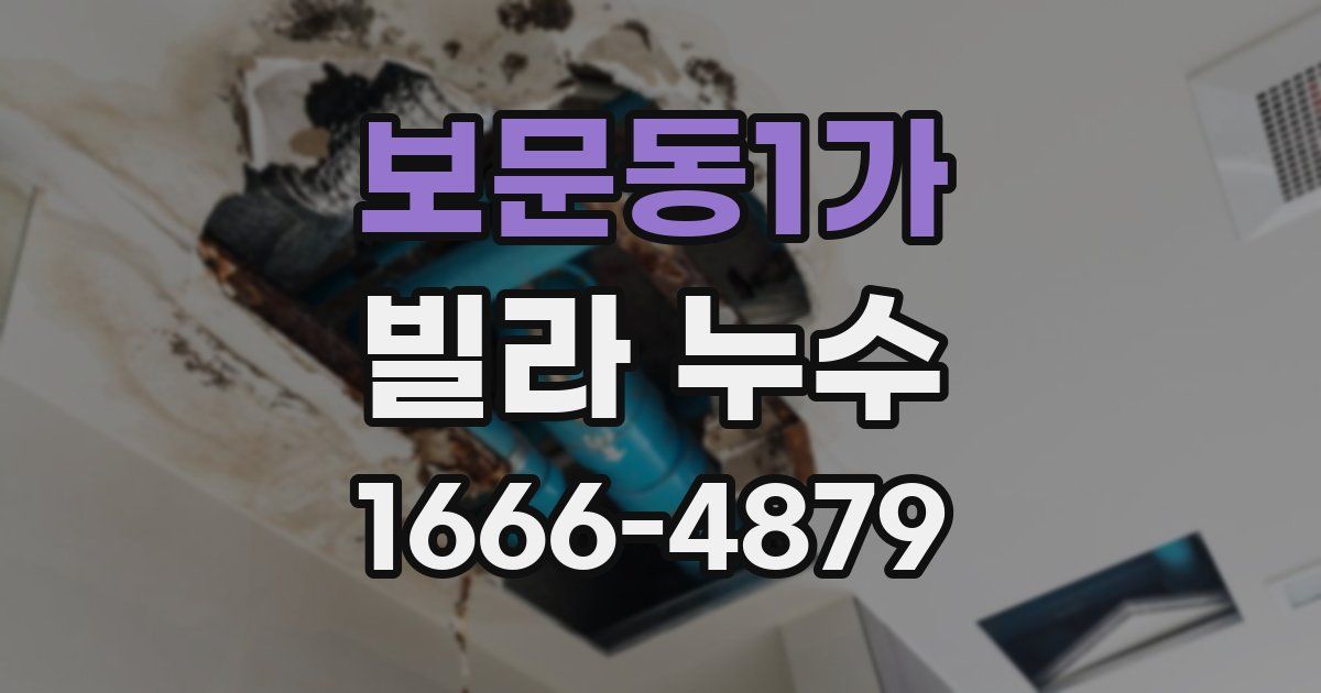 보문동1가 빌라 누수