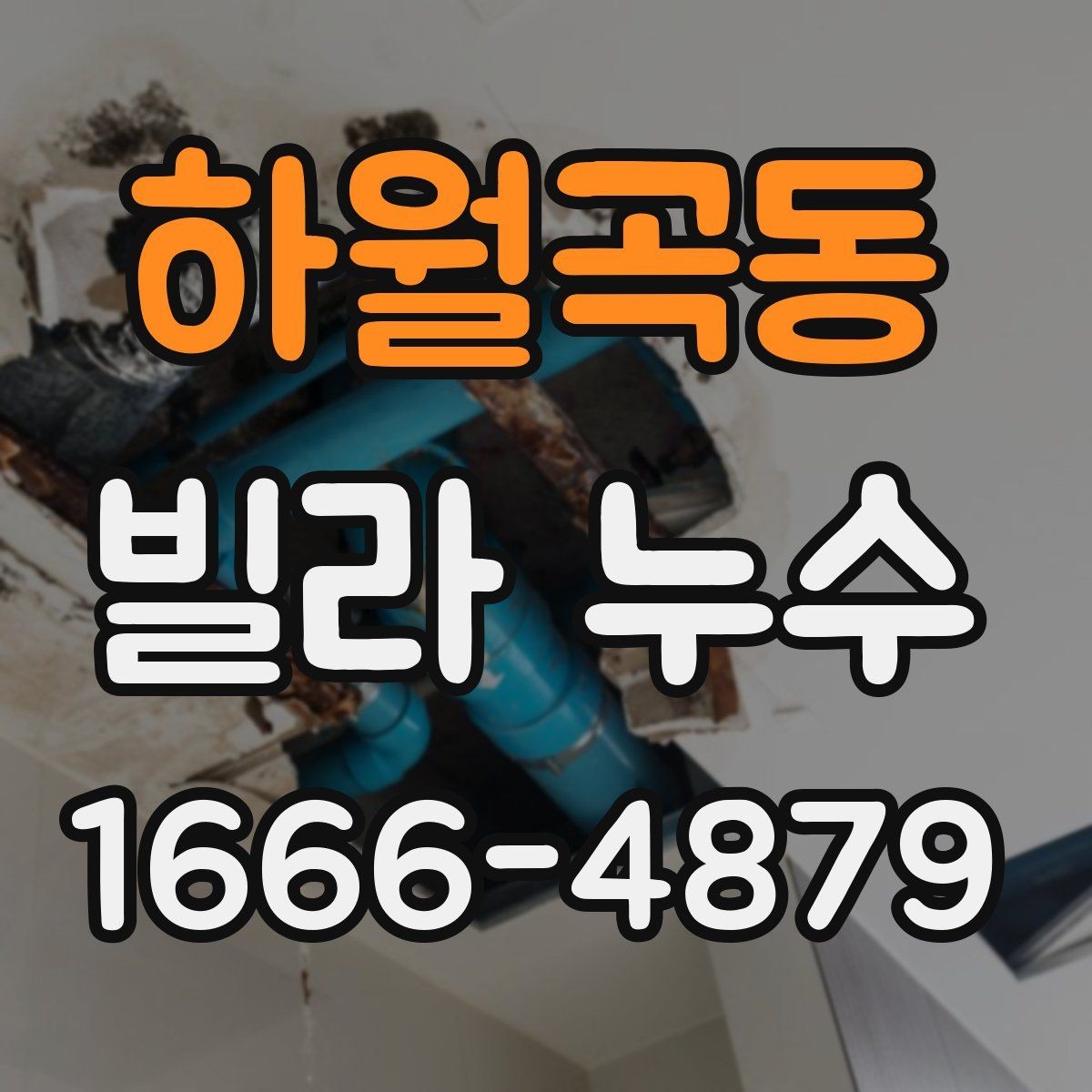 하월곡동 빌라 누수 의심 시 자가 확인과 전문가 진단의 차이