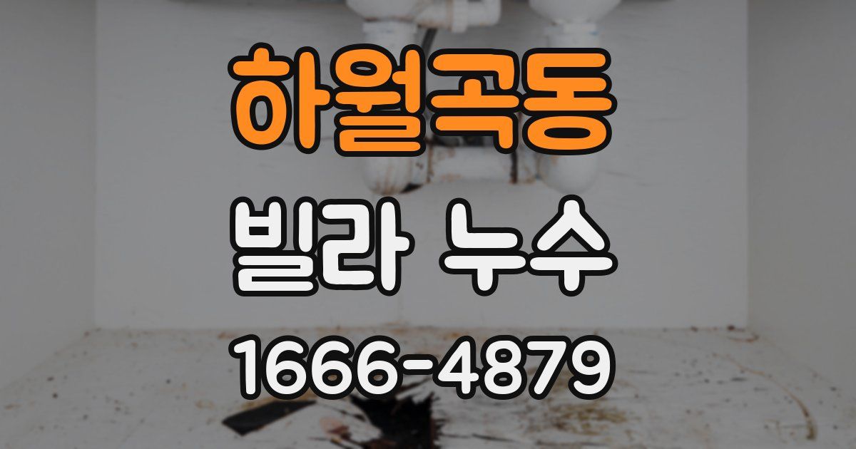하월곡동 빌라 누수