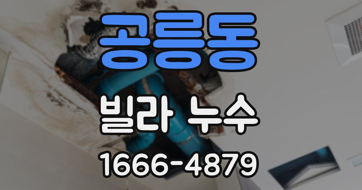 공릉동 빌라 누수