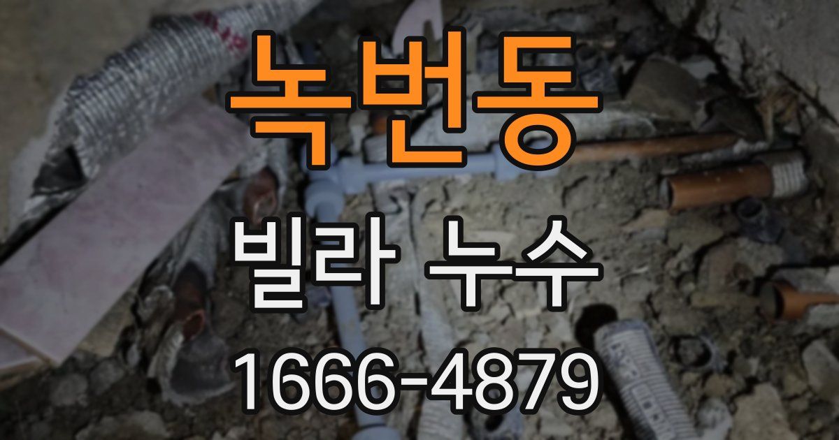 녹번동 빌라 누수