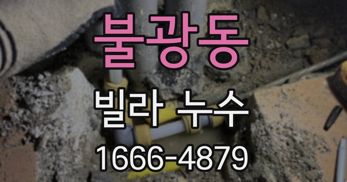 불광동 빌라 누수