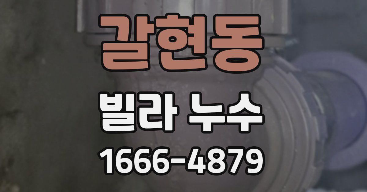 갈현동 빌라 누수