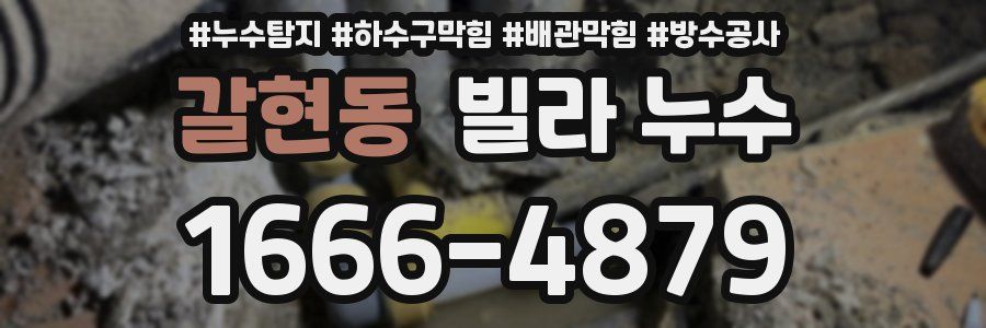 갈현동 빌라 누수