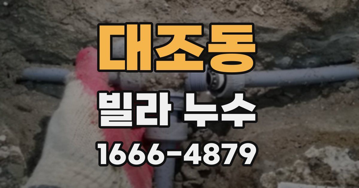 대조동 빌라 누수