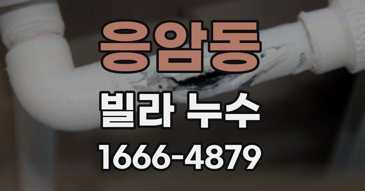 응암동 빌라 누수