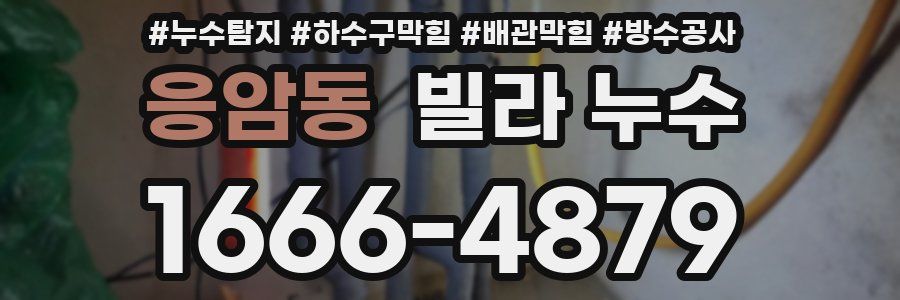 응암동 빌라 누수