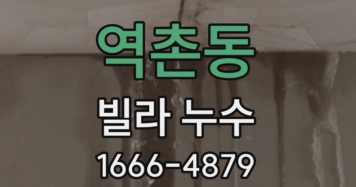 역촌동 빌라 누수