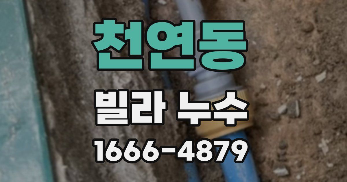 천연동 빌라 누수
