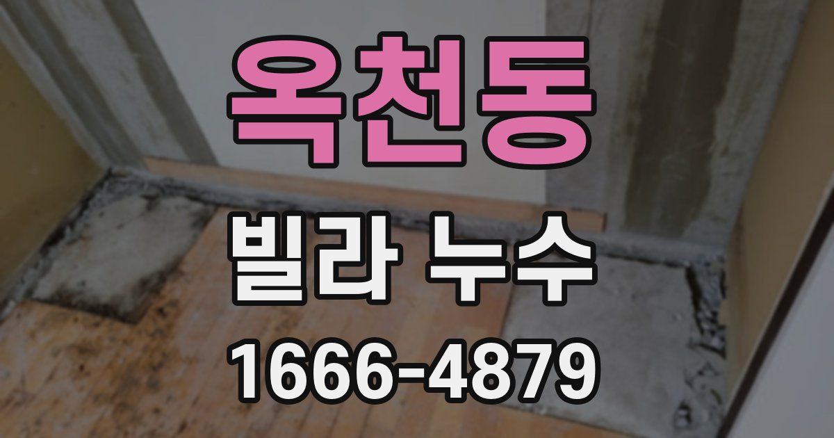 옥천동 빌라 누수