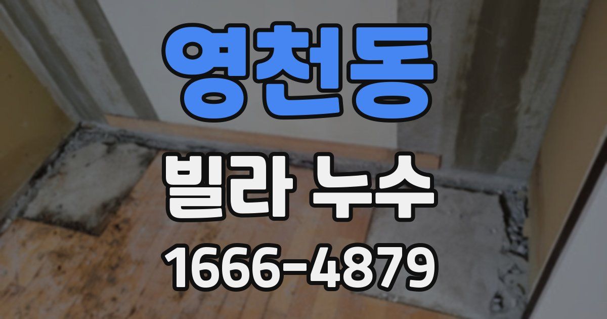 영천동 빌라 누수