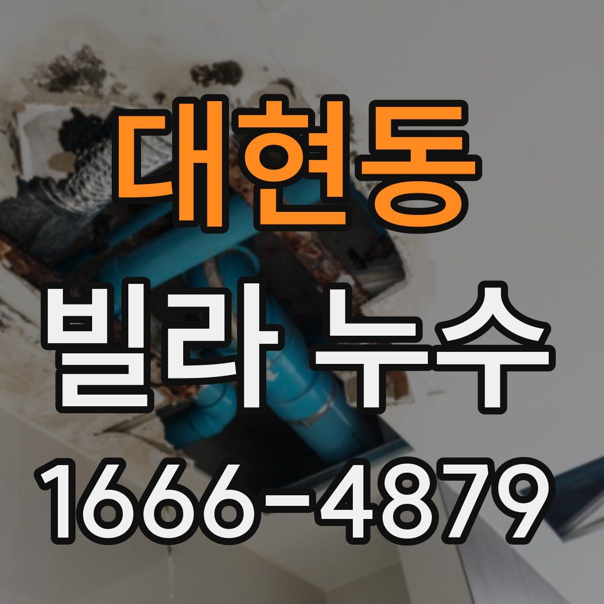 대현동 빌라 누수