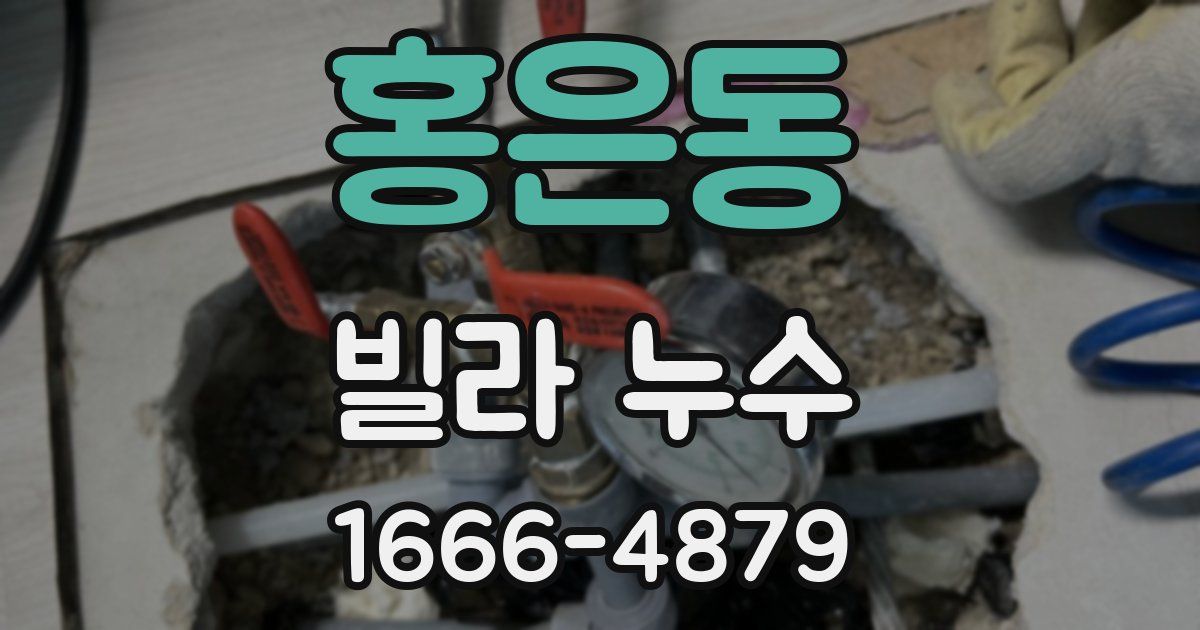 홍은동 빌라 누수