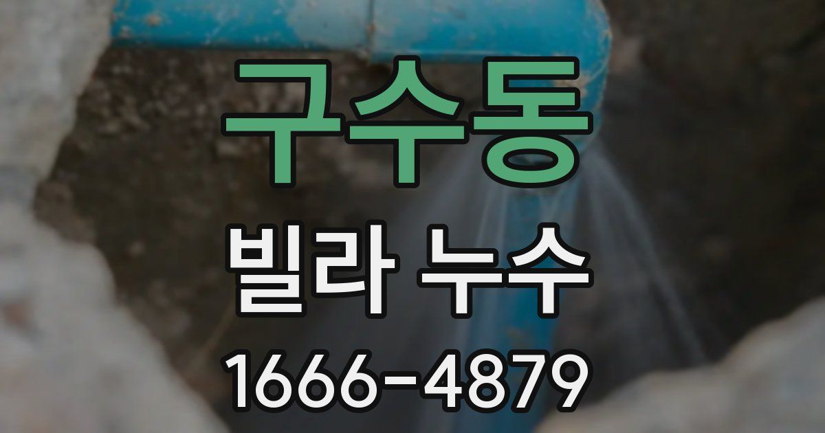 구수동 빌라 누수