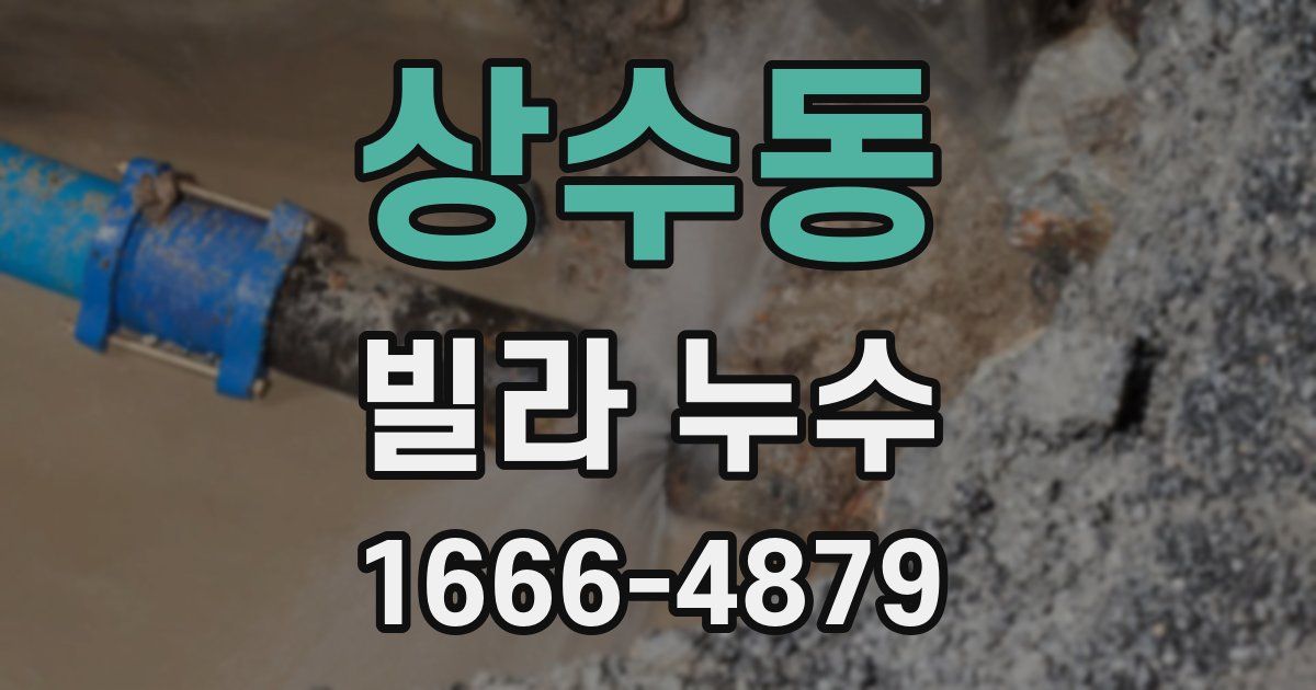 상수동 빌라 누수