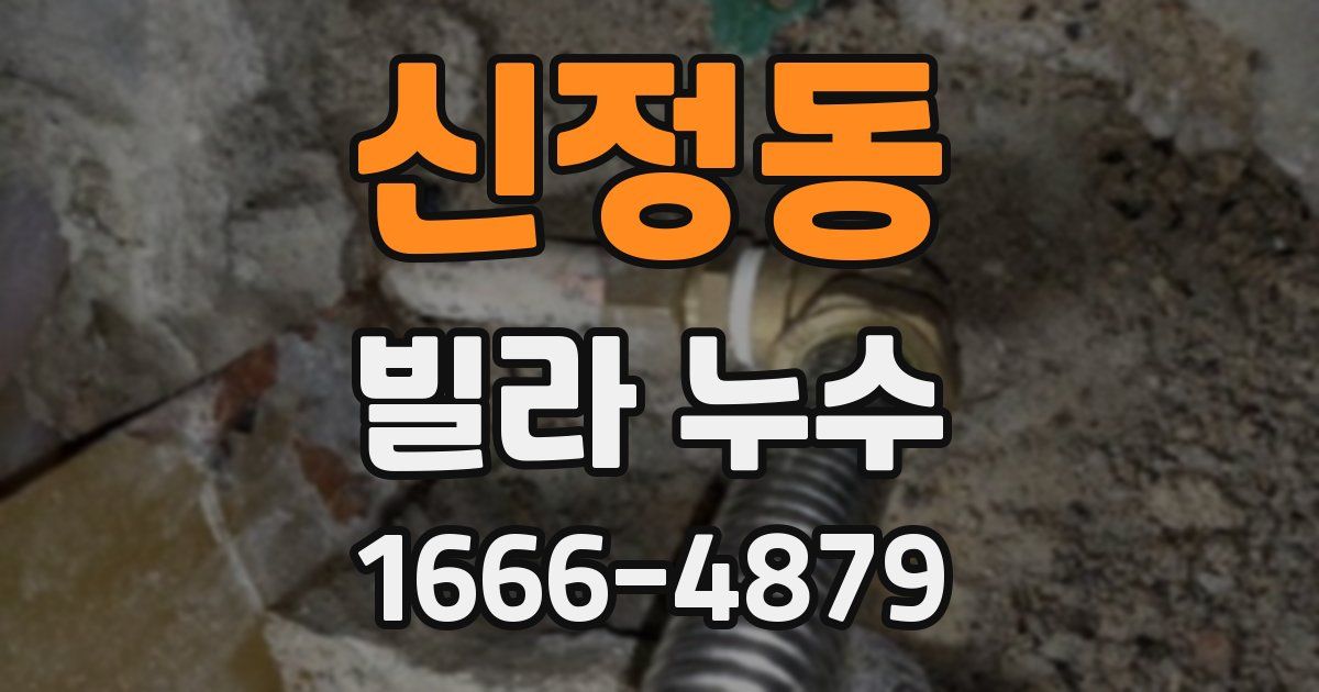 신정동 빌라 누수