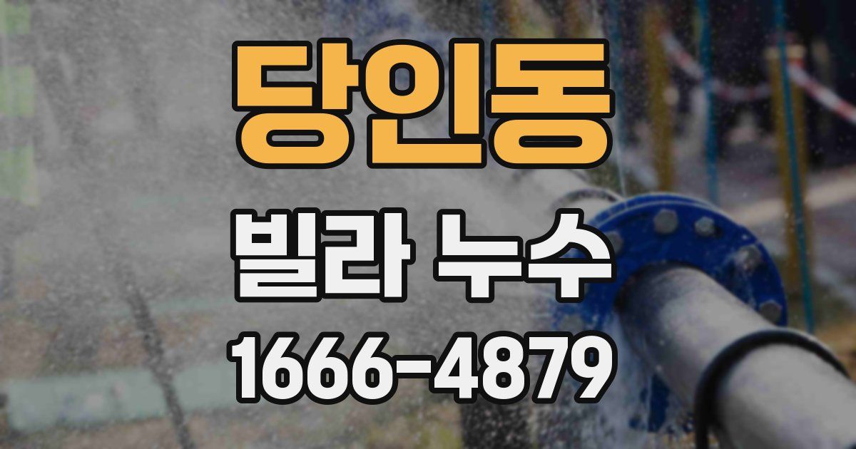 당인동 빌라 누수