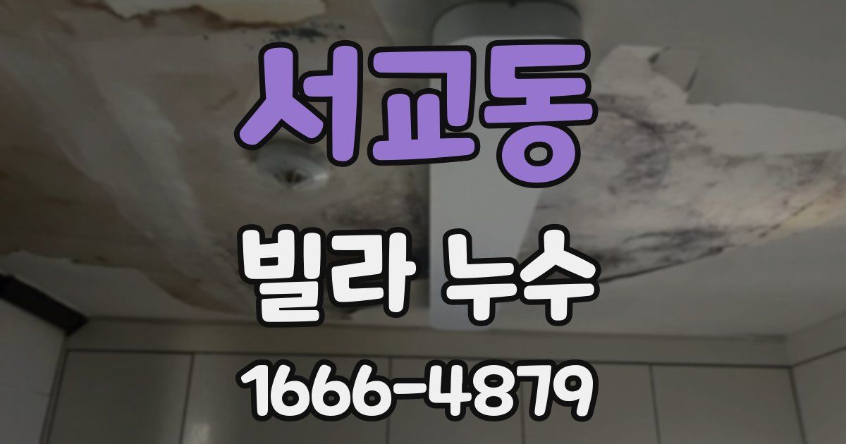 서교동 빌라 누수