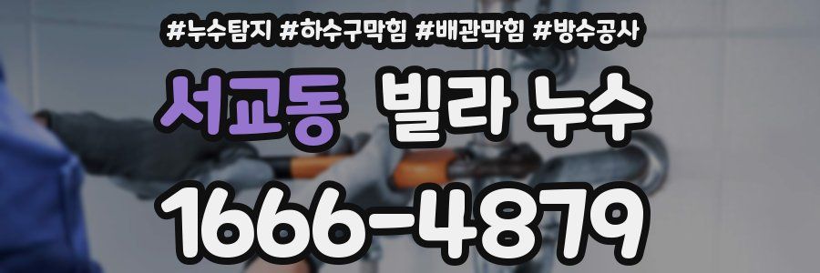 서교동 빌라 누수