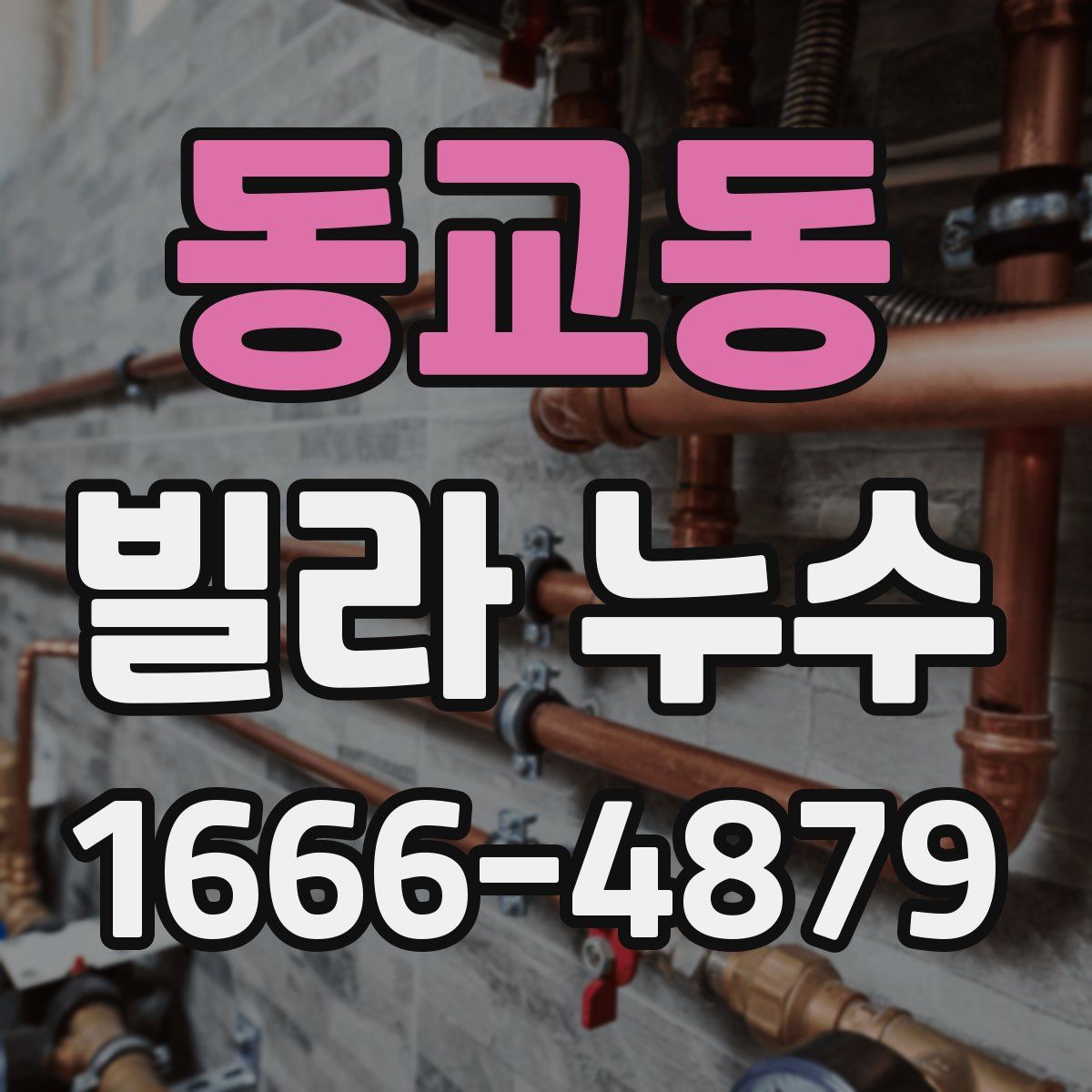 동교동 빌라 누수