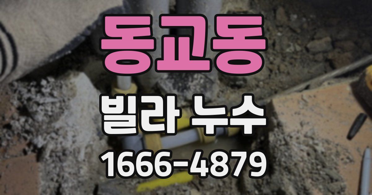 동교동 빌라 누수